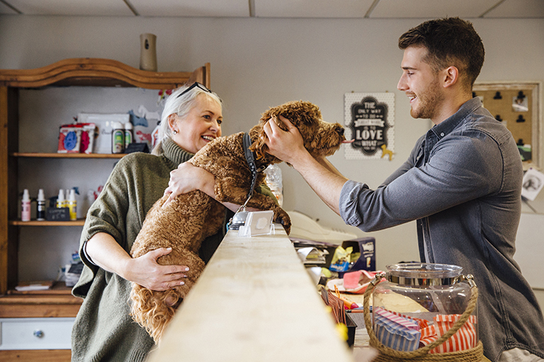 
Mature woman is at the reception in the dog grooming salon with her pet cockapoo. The dog is leaning over the counter to receive affection from the dog groomer.