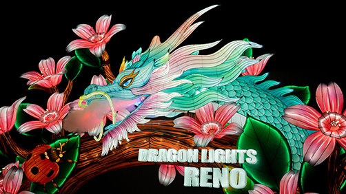 Dragon Lights Reno